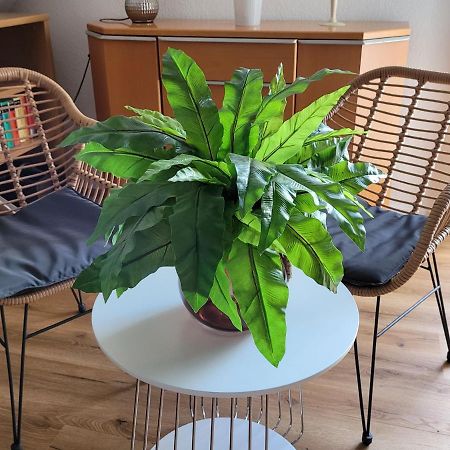 Apartment Sehring Oelde Bagian luar foto